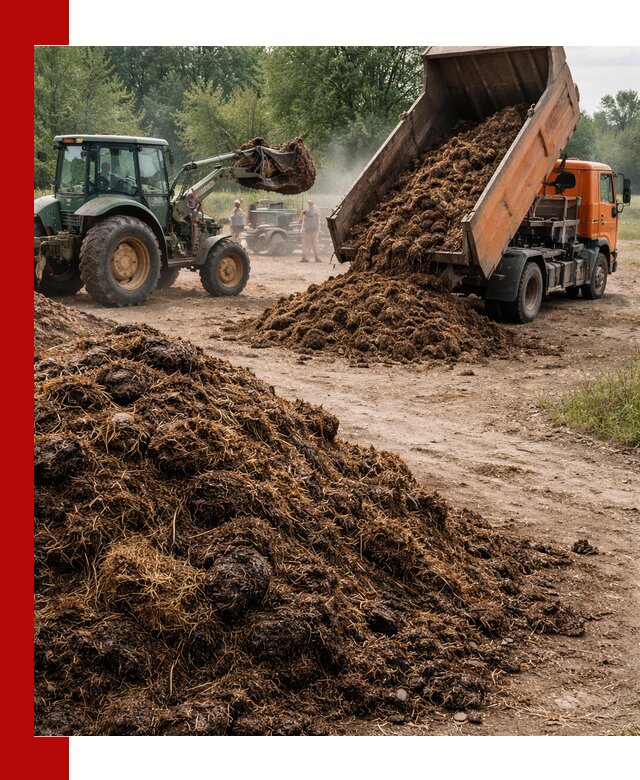 Доставка навоза самосвалами в Пятигорске для сельхозпотребностей